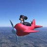 Dog Of Wisdom's profile picture
