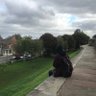 Фото профиля Mahmoud