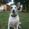 Omri Reis profil fotoğrafı