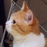 Profilbild von だいず