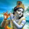 Фото профиля vishal p