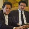 PTI Germany's profile picture
