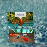 Rain's profile picture