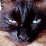 Profilbild von Yara Patricia