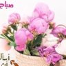 MONA ALHUWAL@M's profile picture