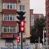 第四期重建用的大头菜 profil fotoğrafı