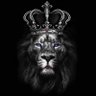 Gray lion profil fotoğrafı