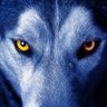Wolfkolf's profile picture