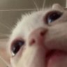 Profilbild von J.T.