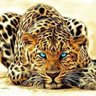 LINGAM RAJA's profile picture