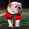 DAWGS89's profile picture