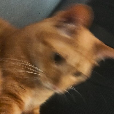 ecromusic's profile picture