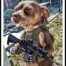 Project X 🇬🇧🐕 profil fotoğrafı