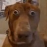 FYR's profile picture