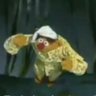 Dawn Topov Pascetti's profile picture