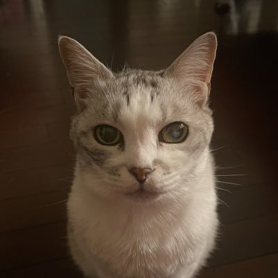 newkei4363's profile picture