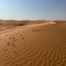 Фото профиля فهد🇸🇦