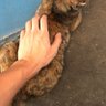 Фото профиля Mkbbg