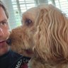 Wayne's profile picture