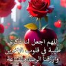 Фото профиля red flouer