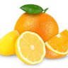 Oranges and lemons 的头像