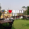 नागेन्द्र सिंह यादव !🇮🇳 的头像