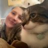 Profilbild von imp