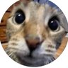 Profilbild von FeruFeru