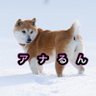 Profilbild von アナるん