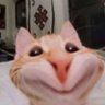 Profilbild von SFX