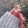 Фото профиля روان