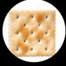 Senor Saltine's profile picture