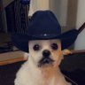 tj7333.find's profile picture