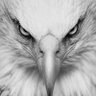 KazancıM's profile picture