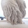 crystalbeing profil fotoğrafı