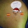 Фото профиля 🎄🇪🇸The patriot🇪🇸 🎄