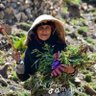 Profilbild von أبو ضيف الله