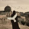 سنحيا كراما 的头像