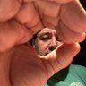 Malvado Dr. Tocino para ti's profile picture