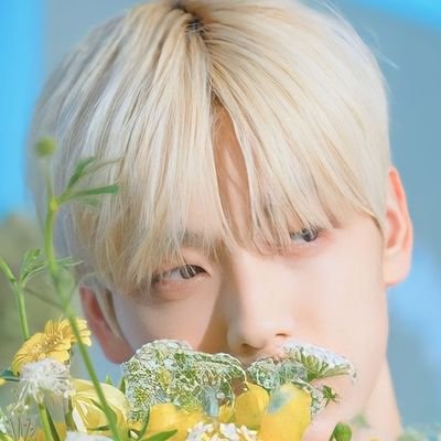 🐰こぐま🧸🐿's profile picture