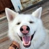 Crypto Blok profil fotoğrafı