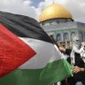 🇵🇸فلسطيني وافتخر🇵🇸's profile picture