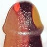 Licku2t profil fotoğrafı