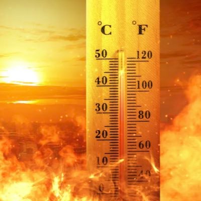 dailyheat27's profile picture