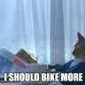 Фото профиля Rainyseasonbike
