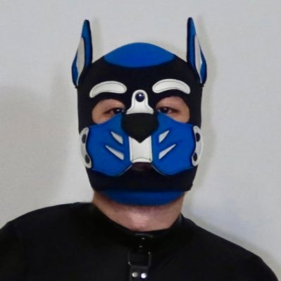 PupSaxon's profile picture