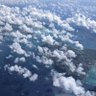 南の島のカモメ's profile picture