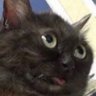 Big T's profile picture