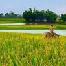 Yêu Quê Hương 的头像