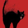 mercedes delsol profil fotoğrafı